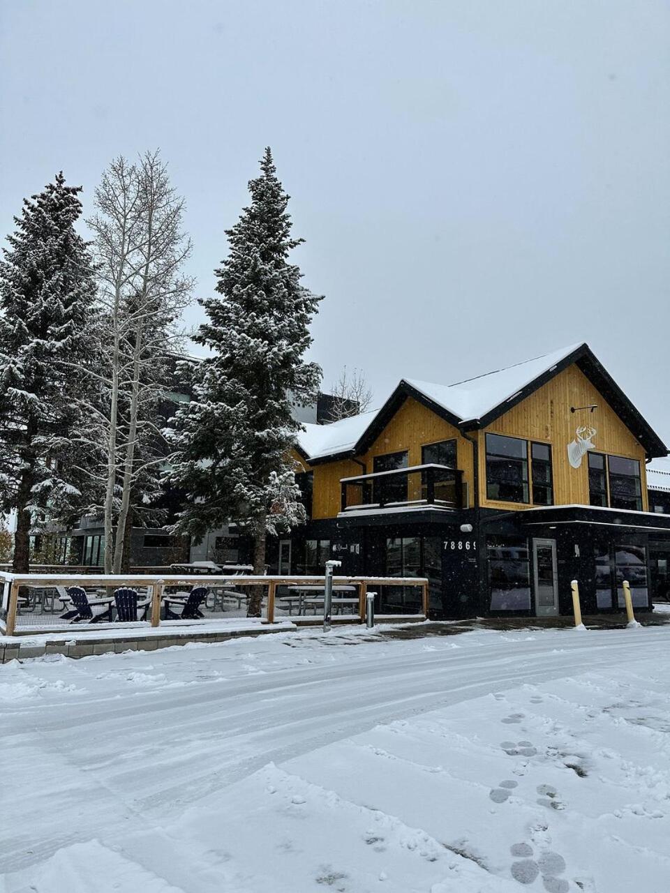 Отель Gravity Haus Винтер Парк Экстерьер фото